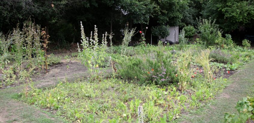 Plot Holder Spotlight: The Art of Circular Gardening